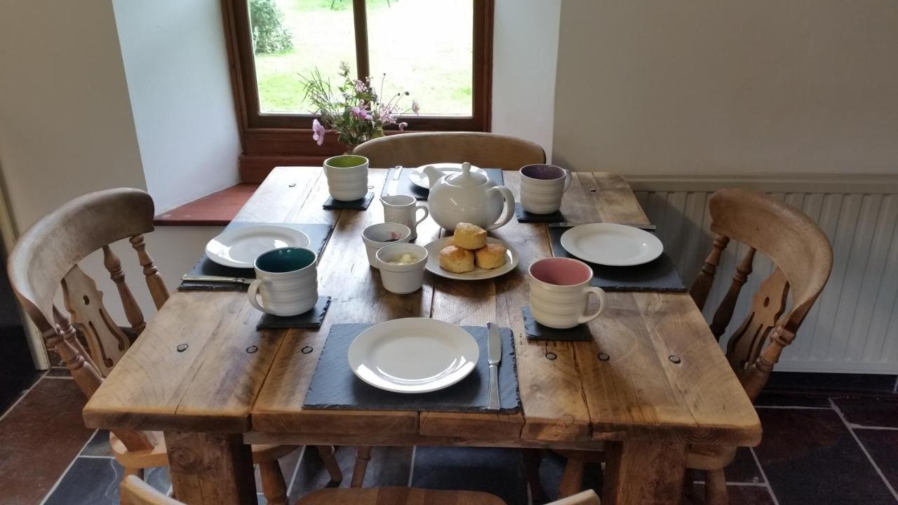 Coopers Cottage Dog Friendly North Cornwall Delabole Extérieur photo